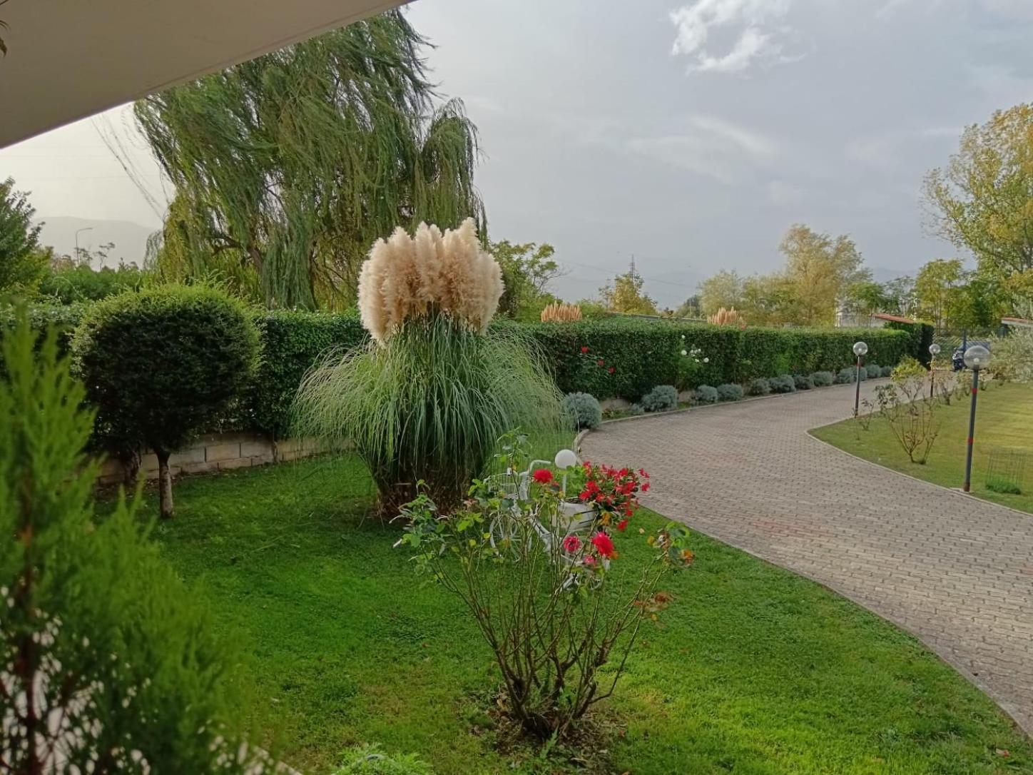 فيلا Parco Delle Rose سولمونا المظهر الخارجي الصورة